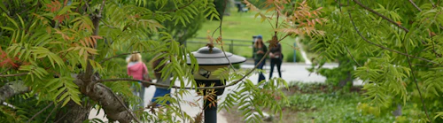 Cabrillo Campus View