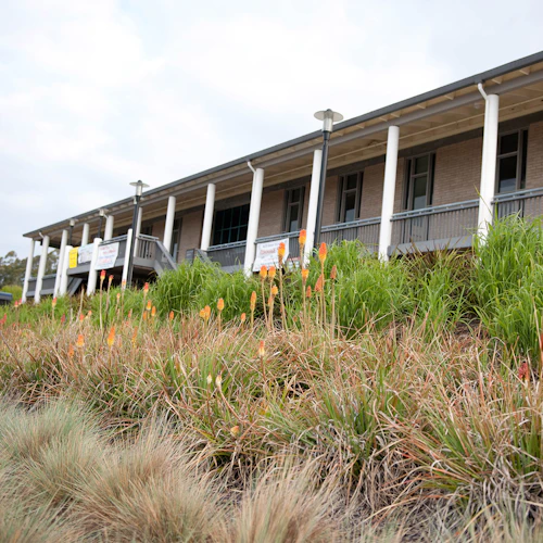 campus al aire libre