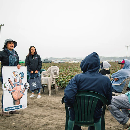 Insturctors speaking with Farms workers on location