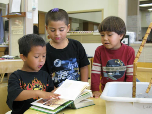 3 boys are reading books