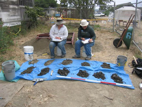 Dos personas trabajando con muestras de suelo.