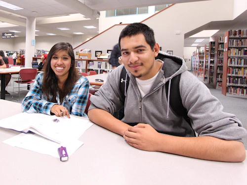 Students in the Library