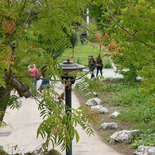 Campus Cabrillo tarde