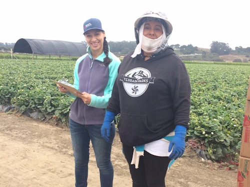 servicios estudiantiles trabajo al aire libre niños familias