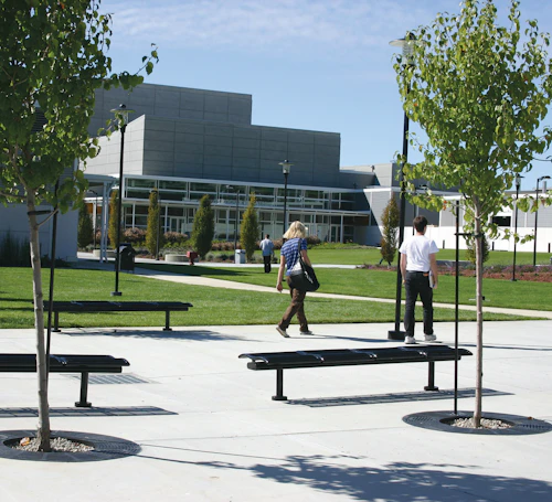 cmapus landscape students walking outdoors to class