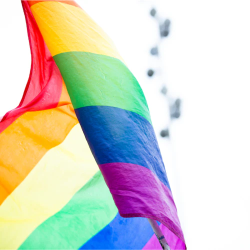 LQBTQ flag diversity title ix