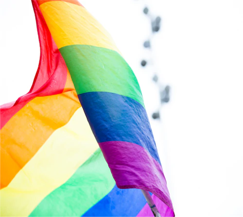 LQBTQ flag diversity title ix