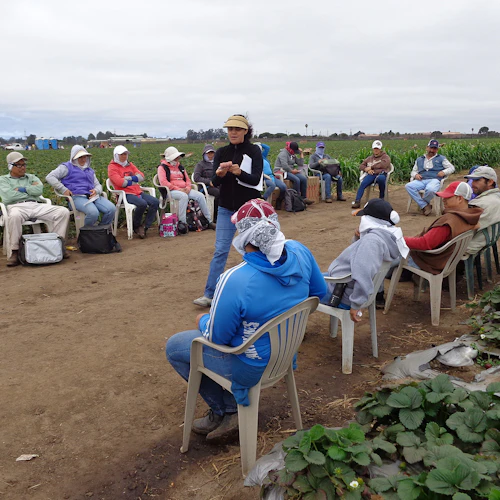 Female CHW in the fields talking with workers