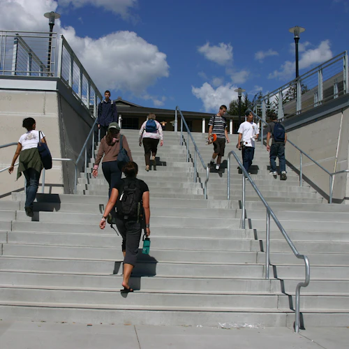 Estudiantes en los escalones