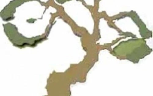 ramas de árbol en forma de bicicleta