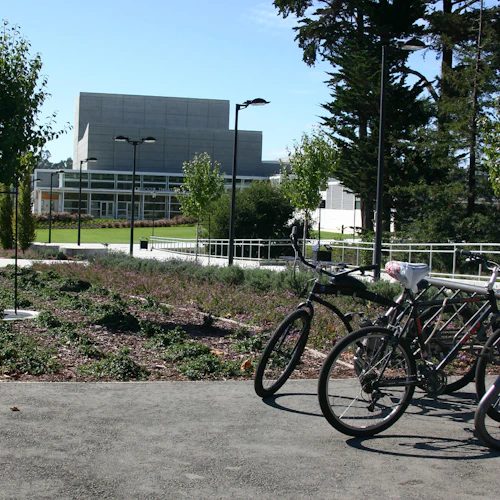 Campus principal con bicicletas