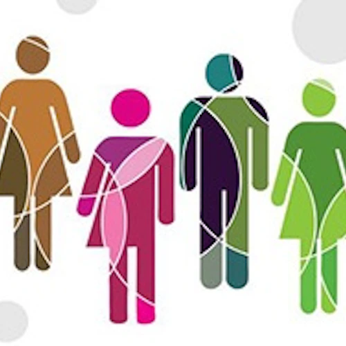 EEO Opción Multicolor 3