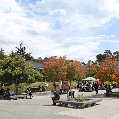 campus quad area with students