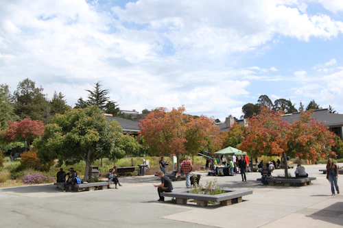 campus quad area with students