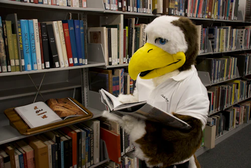 Sammy Mascot leyendo