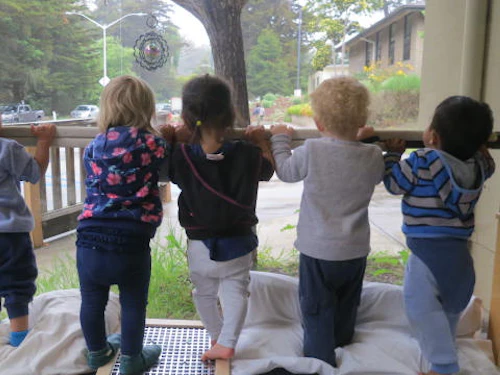 toddlers looking over a fence