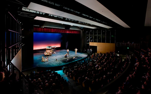 Escena de VAPA durante un espectáculo