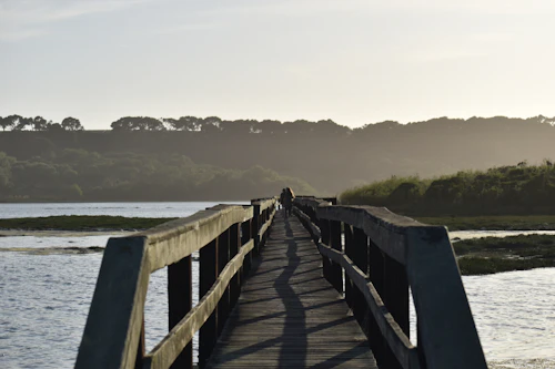 puente caminable sobre el agua