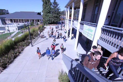 estudiantes caminando por el campus
