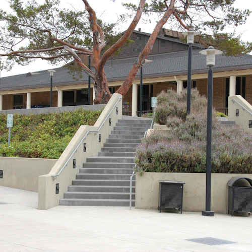 ciprés sobre escaleras de esquina