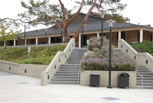 ciprés sobre escaleras de esquina