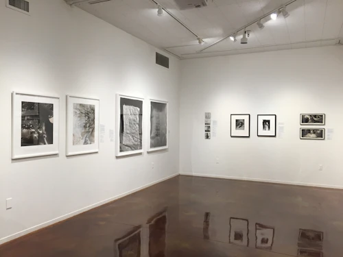 installation view with several framed images