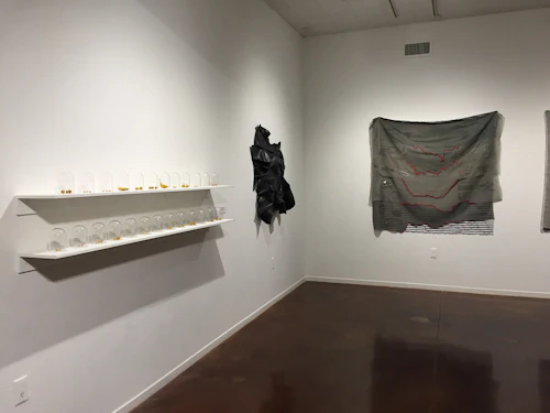 Vista de galería, Lalla Essaydi, Kevin B. Chen, Squeak Carnwath