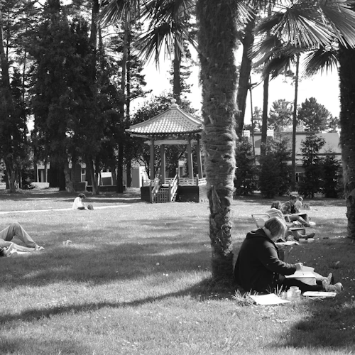 estudiantes sentados en el césped