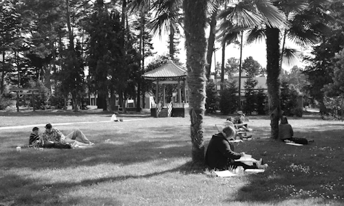 estudiantes sentados en el césped