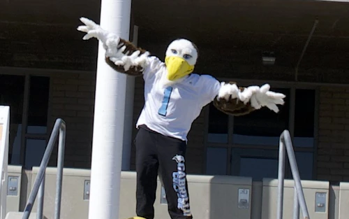 Sammy Seahawk (la mascota de la universidad) de pie frente a la biblioteca con los brazos extendidos como alas.