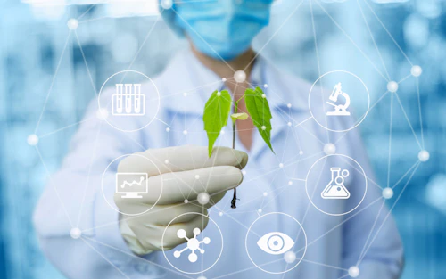 ciencia de plantas biotecnología