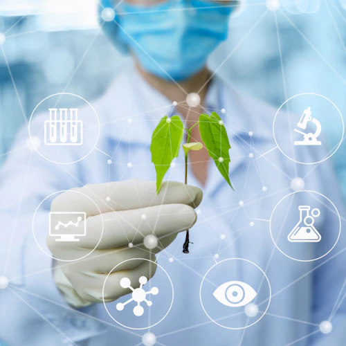 ciencia de las plantas biotecnología