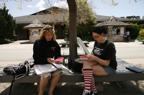 Decorative Image: students sitting on a bench under a tree