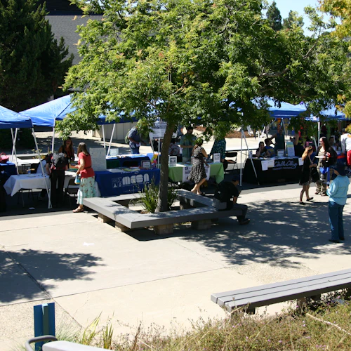 Decorative Image: students on the Cabrillo quad