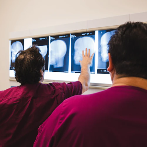 estudiantes mirando imágenes