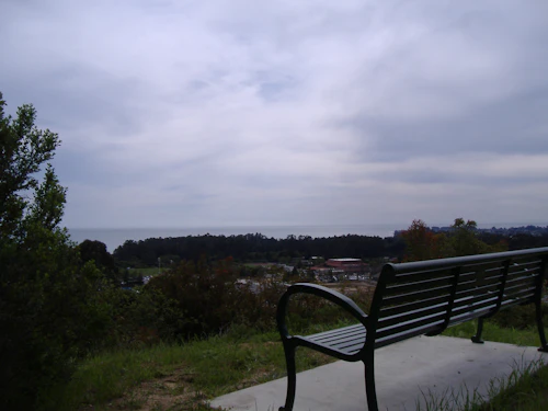 mirador del banco en el centro hort