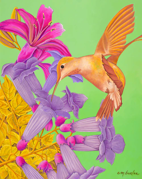 Pintura de Colibrí