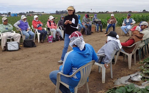 mujer trabajadora de salud comunitaria hablando con trabajadores de campo
