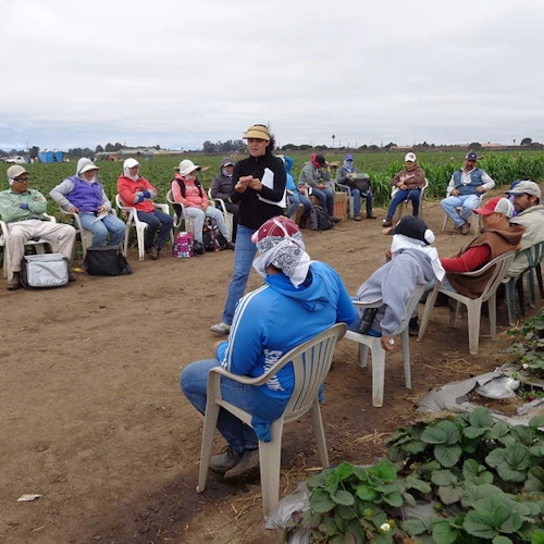 mujer chw hablando con trabajadores de campo