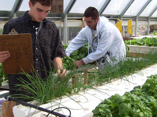 clase de horticultura en invernadero