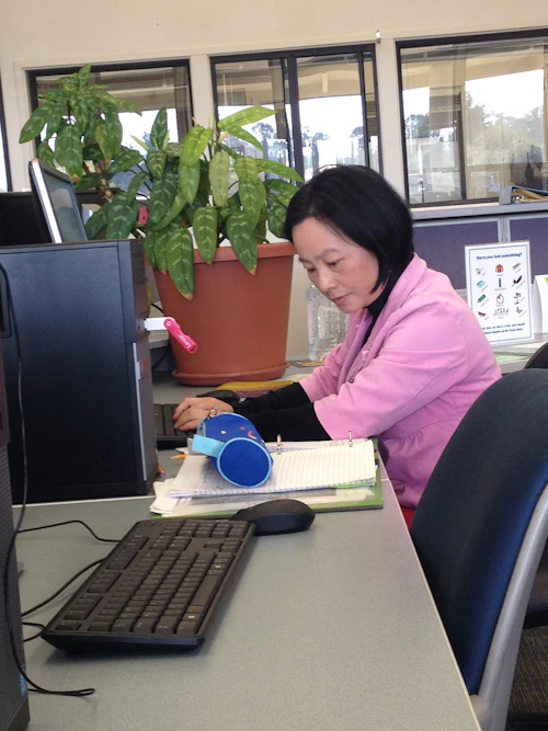 CABT student working on the computer