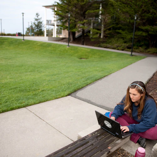 Decorative image: student studying outside sitting on the bench