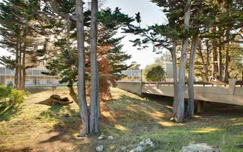 bridge over a gully on lower campus
