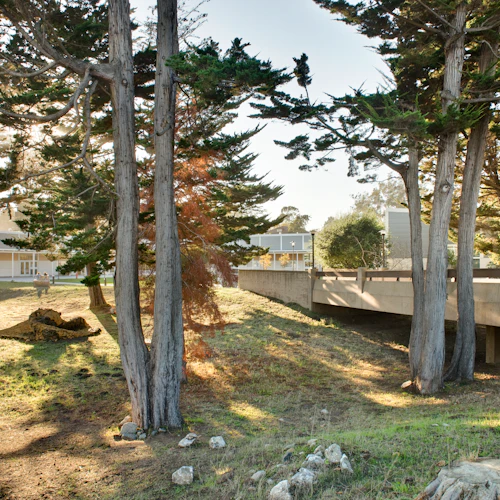 puente sobre una quebrada en el campus inferior