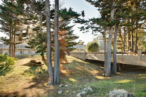 bridge over a gully on lower campus