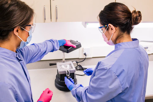 Students making a model of teeth