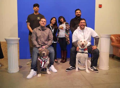 Student vets with dogs