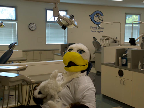 Sammy Seahawk sitting in dental chair
