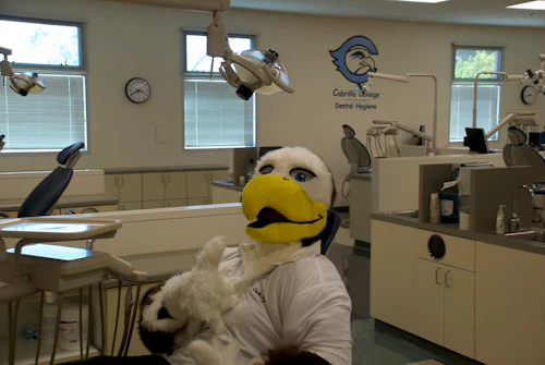 Sammy Seahawk sitting in dental chair