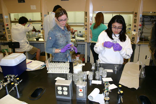 Students conducting experiment